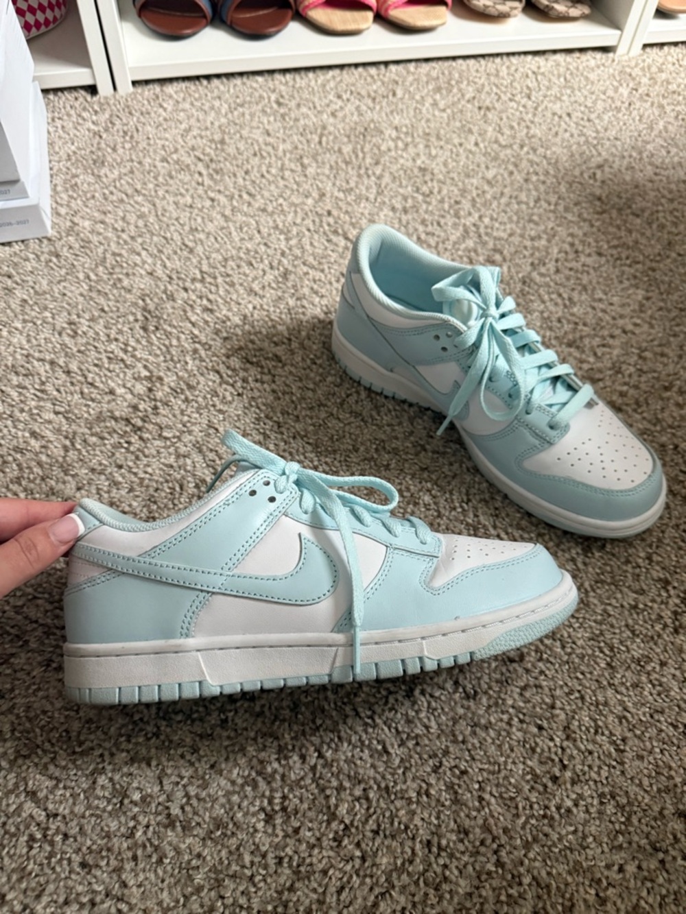Nike Dunk Low in Mint and White Leather
